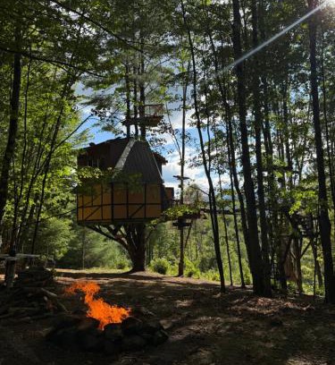 Braintree Other | TREE HOUSE with 850 feet ZIP LINE