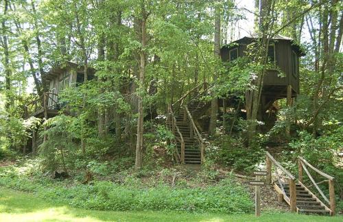 Crumpler House | Tree Top Cabin in Crumpler, North Carolina