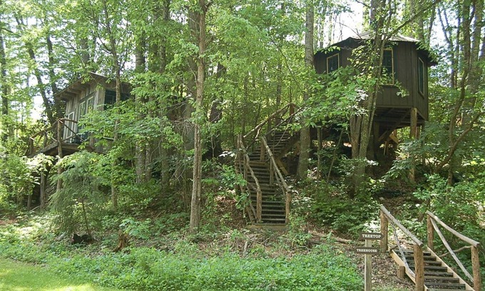 Crumpler House | Tree Top Cabin