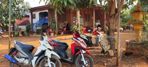 Ban Lung Cabin | Tree Trails Homestay & Offers Jungle Trekk-Scooter For Rental