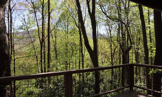 Cosby Cabin | Treehouse Glamping 1 bordering GSMNP, Off-Grid