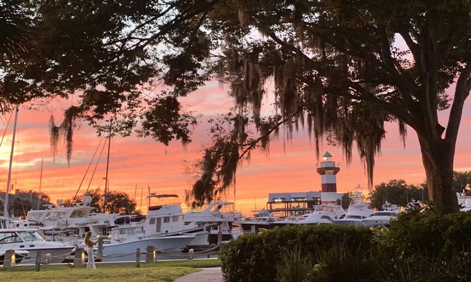 Sea Pines Cottage | Treehouse in Forest by the SeanWalk to Harbourtown