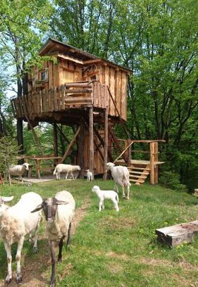 Sveti Duh na Ostrem Vrhu Ski Chalet | Treehouse Toplak