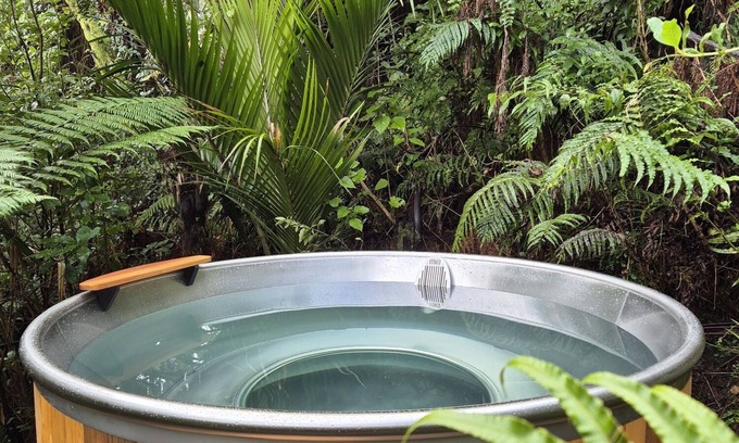 Punakaiki House | Treescapes