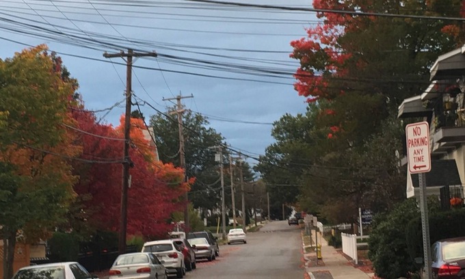 Westborough Condo | Treetop Downtown Westboro 1/1 Condo Nest