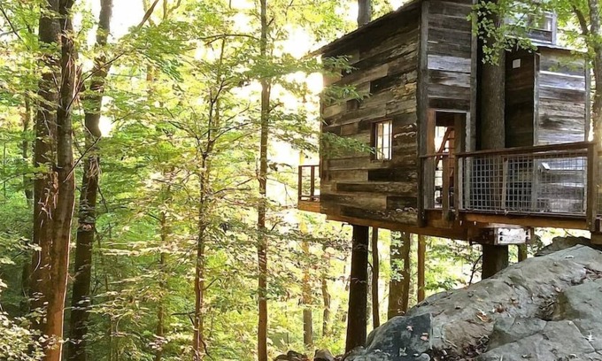 Flintstone Cabin | Treetop Hideaways: Luna Loft