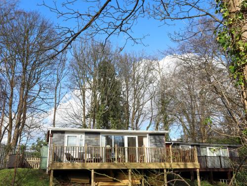 Bont Newydd House | Treetops