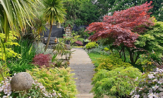 Stonnall House | Tropical Garden Oasis