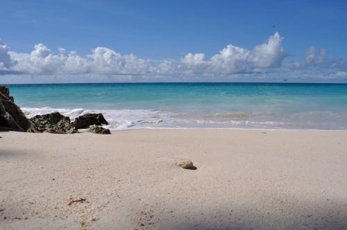 Silver Sands Apartment | Tropical Gecko Studio - Sweet Jewel Apartments