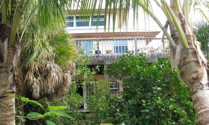 Placida House | Tropical Home nestled among the coconuts