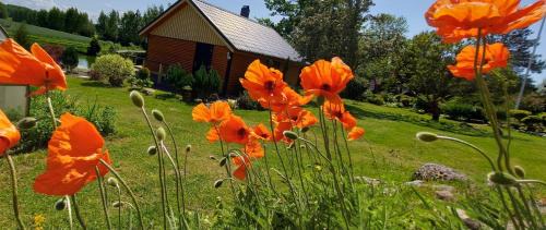 Tori House | Tuka Talu ,Soomaa piirkonnas, Pärnumaa