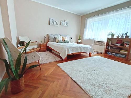Bekescsaba Apartment | Tulipán Apartman