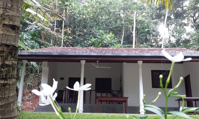 Matara Villa | Turtle Surf Whale Watching
