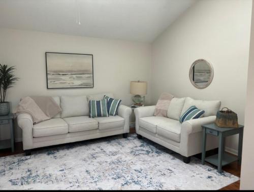 Long Beach House | Turtle Time!