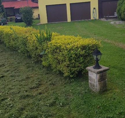 Skoczow Apartment | Turystyczny apartament na poddaszu