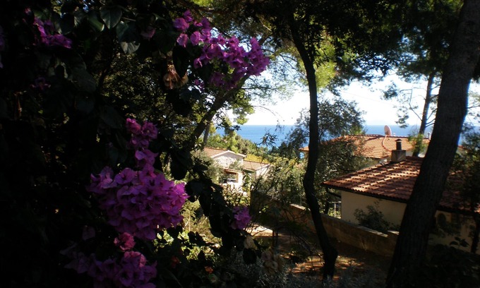 Zavala Apartment | Two bedroom apartment with terrace and sea view Zavala, Hvar (A-8710-b)