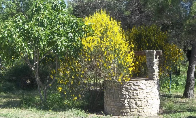 Saze House | Two bedrooms, in the countryside, near Avignon.