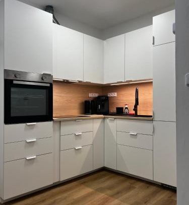 Zizkov Apartment | Two Modern Apartments with Complimentary Parking