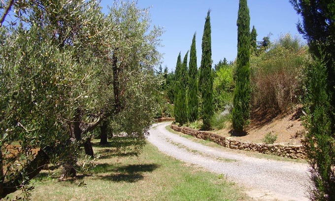 Collemezzano Apartment | Two-room apartment in the countryside 4 km from the sea