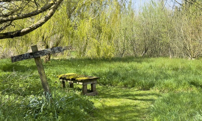 Malltraeth Cottage | TY CANOL, family friendly, country holiday cottage in Malltraeth