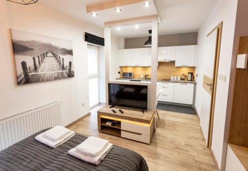 Szczawno-Zdroj Apartment | Tymon Apartament przy deptaku