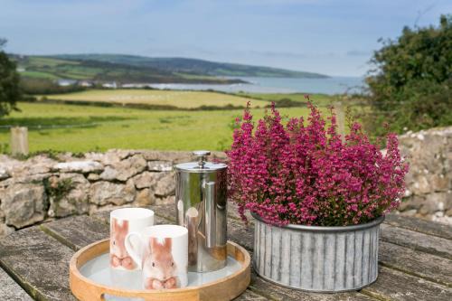 Moelfre House | Tyn Lon