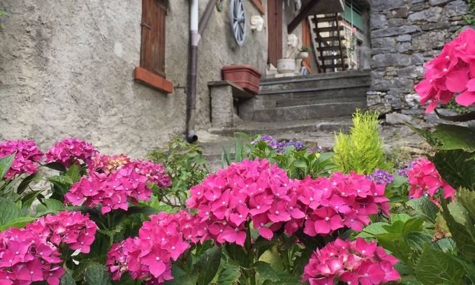 San Rocco in Turrite House | Typical Tuscany Village House, small private pool and relax