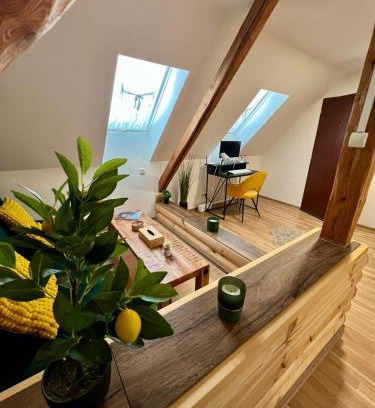 Ostrava Apartment | U Lupka - Ostrava