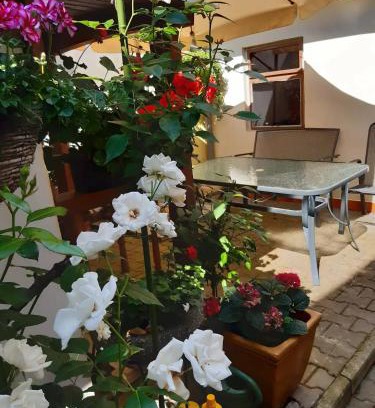 Valtice Apartment | U paní malířky