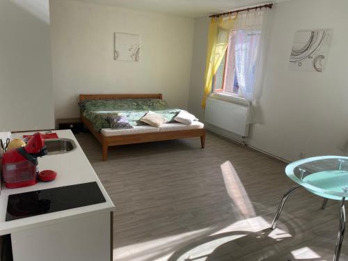 Straz nad Nezarkou Apartment | Ubytování U Jeníka Stráž nad Nežárkou Chlumecká 188