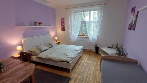 Bohumin Apartment | Ubytovaní U Dvora