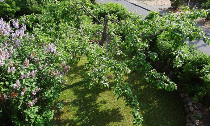 Kopperby Apartment | Uferschwalbe