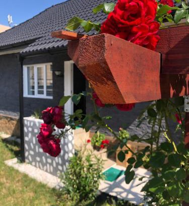 Bumbesti-Jiu House | Ulita