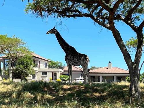 Nelspruit Villa | Ultra luxury in the Wild