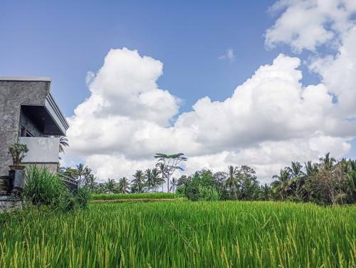 Kenderan House | Umah Geina Ubud
