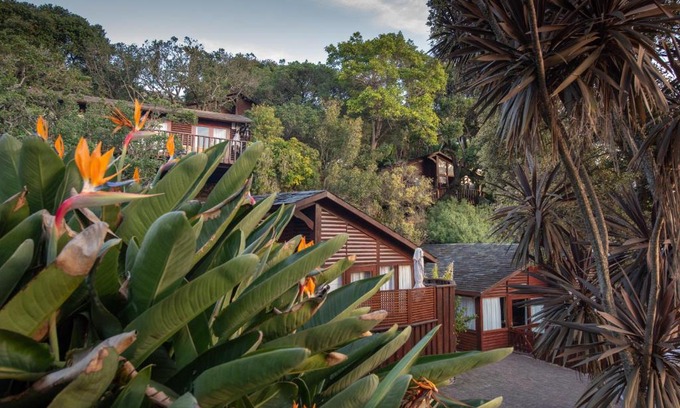 Knysna Resort | Under Milkwood Resort