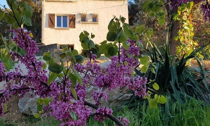 La Panouse House | Unique à Marseille