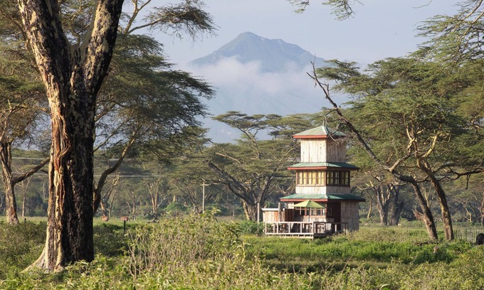Naivasha Other | Unique 2-story tower with 360° wildlife views and stargazing showers.