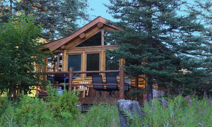 Anchor Point Cabin | Unique Alaskan log home in trees & wild flowers on 14-acre private homestead.