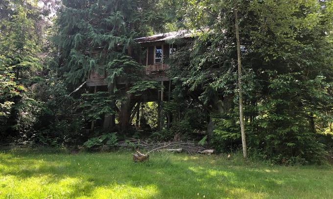 Whaletown Apartment | Unique Cortes Treehouse! - Peaceful haven in the trees