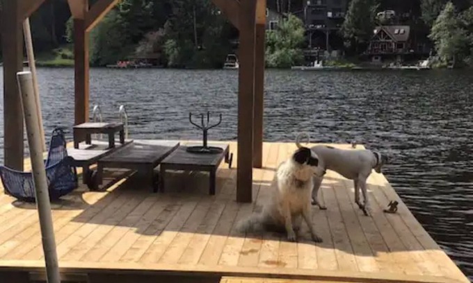 Shawnigan Lake Cottage | Unique Hand built log cottage on the lake with views and hot tub.