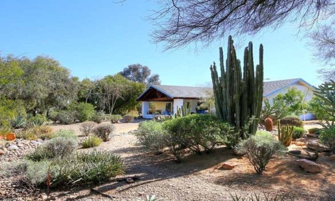 Sun City West House | Unique Private Desert Botanical Garden Property heart of SCW. it's a must Cn