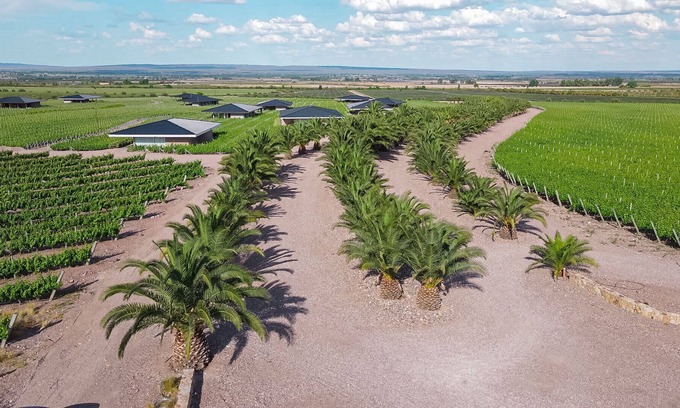 Ugarteche Cabin | Unique Villas del Malbec Lodges between vineyards and mountain view