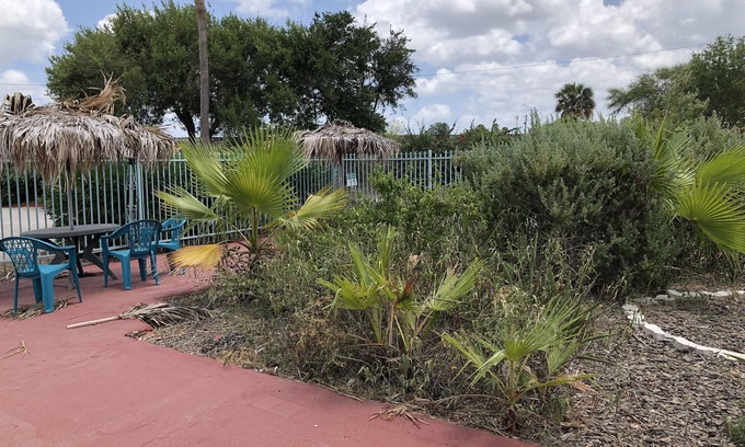 Brownsville Hotel | University Inn & Suites
