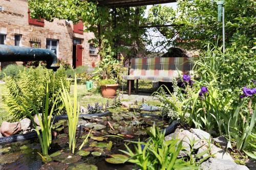 Friedland House | Unser Ferienhaus Sonnenhof Reudnitz