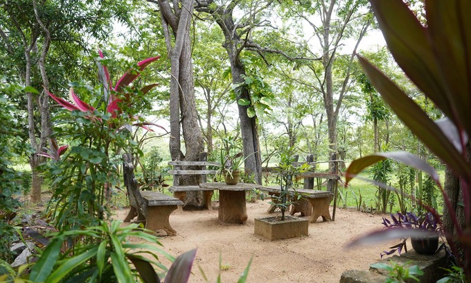 Habarana Villa | UpiesFolly Lakeside Bungalow