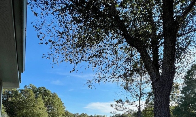 Carriere Other | Upscale cabin on 12 acres with stocked pond, great porch, and gourmet kitchen!