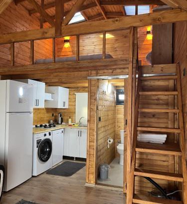 Urla Apartment | Urla Vineyard House Meryem's House