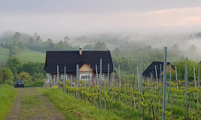 Nowica House | Utopia Dom przy winnicy
