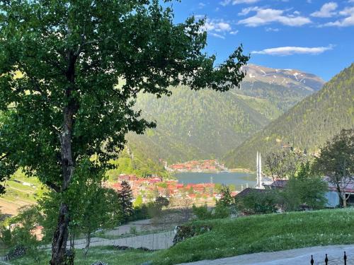 Uzungol Apartment | Uzungöl Özkan Pansiyon